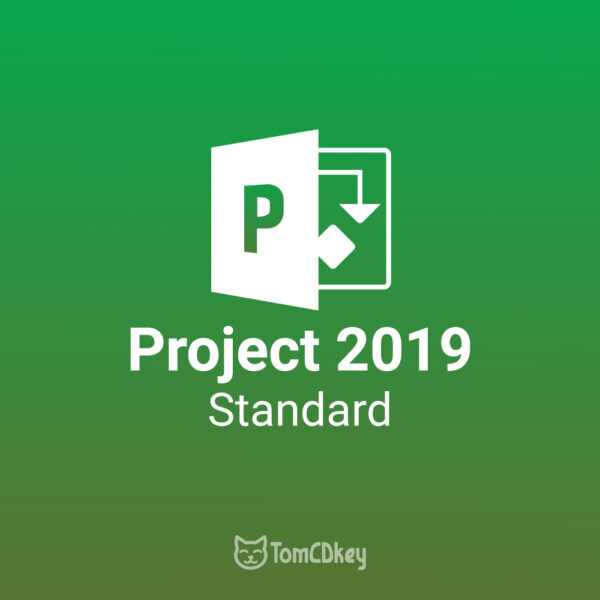 Microsoft Project 2019