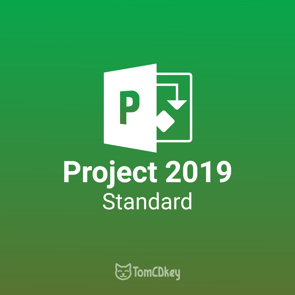 Microsoft Project 2019