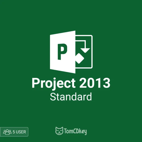 MS Project 2013