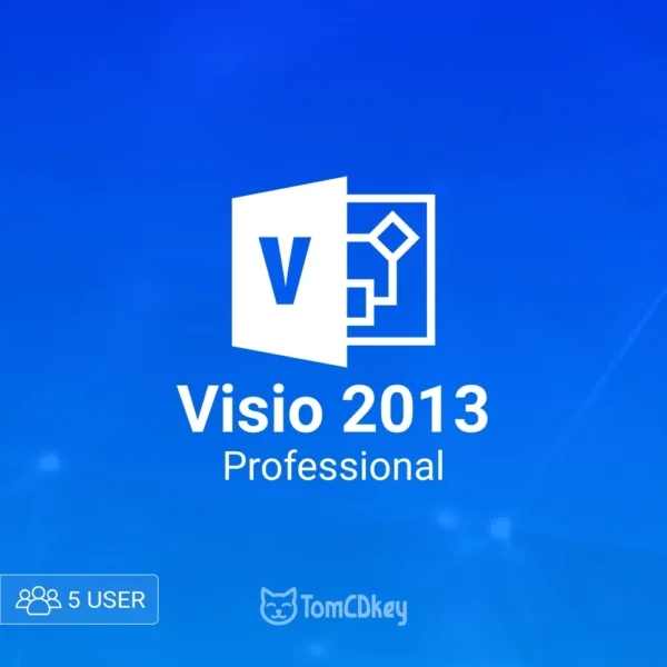 MS Visio Professional 2013