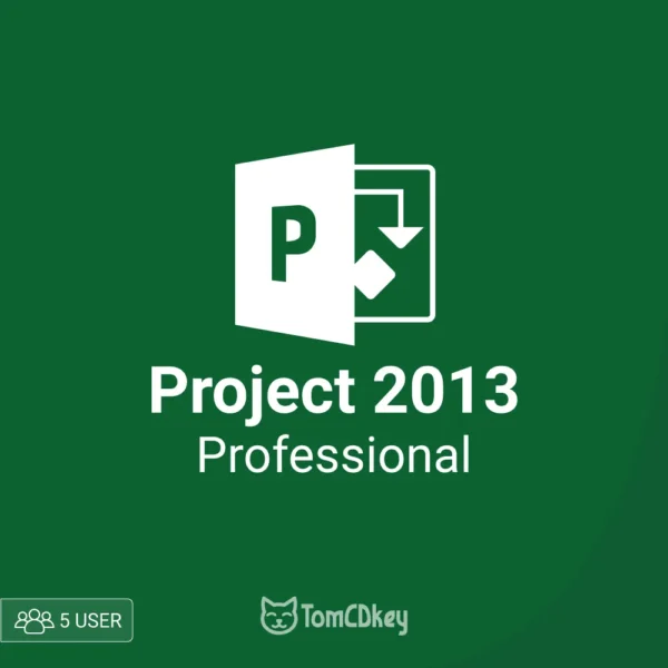 Microsoft Project 2013