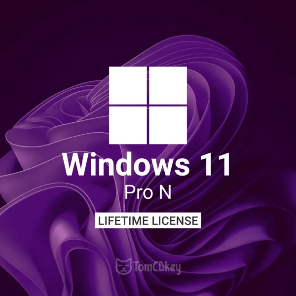 Windows 11 Pro N