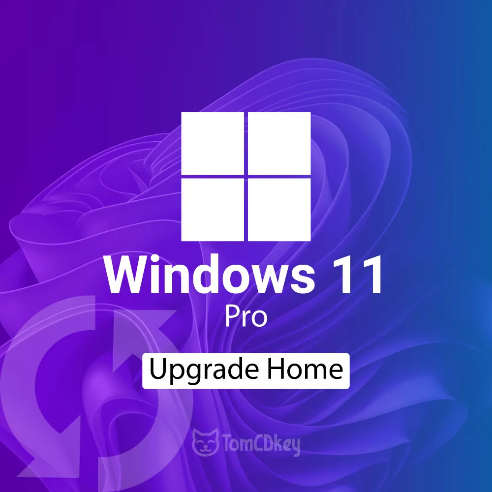 Windows 11 Professional Upgrade