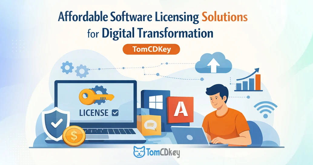 Software licensing solutions